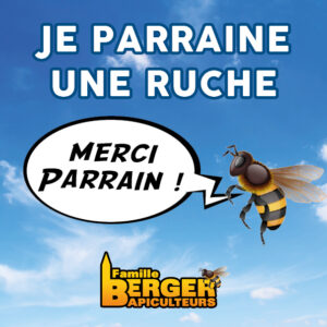 Miel de Châtaignier d'Alsace IGP - Apiculture Trudersheim